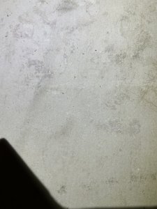 9836B1A4-692F-4573-8B53-5705310C942A.jpeg
