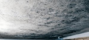 Garage von innen #1.jpg