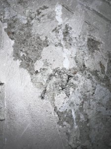 0DEE140A-7BBB-457E-B652-9E455DA64455.jpeg