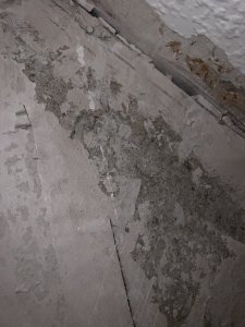 83CEC064-CCF7-44F5-BEB7-56718F5EFC27.jpeg