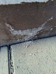 IMG20230213123939.jpg
