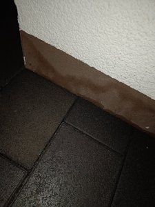 IMG20230219070730.jpg