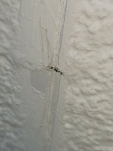 IMG_20230225_173342.jpg