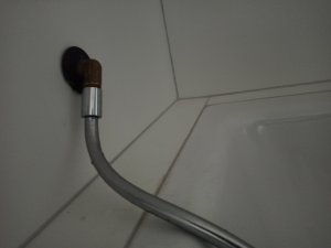 IMG_20230227_170325.jpg