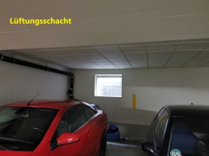 IMG_20230226_123807.jpg