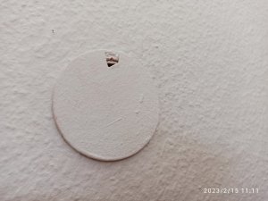 IMG_20230215_111147.jpg