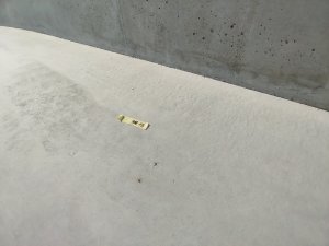 IMG_20230303_151657.jpg