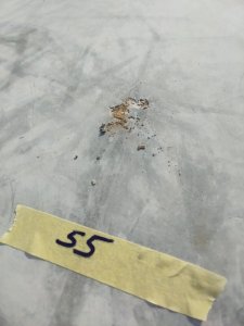 IMG_20230303_160634.jpg