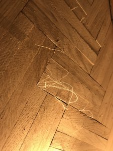 14976354-2AA8-4DC2-9336-3D5D9E575E8D.jpeg