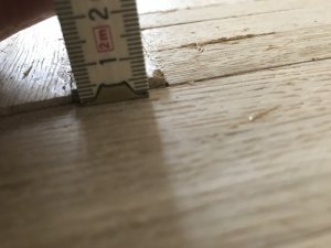 E21EF235-D7E8-40F7-A53E-C2A2AE3C5987.jpeg