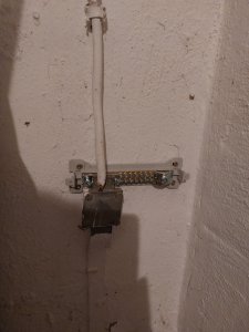 20230314_090805.jpg