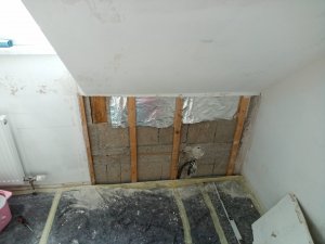 IMG_20230316_111539_508.jpg