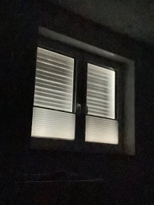 460BF8ED-077B-40DD-9834-03B72F3D8A75.jpeg