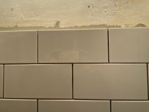 3C6CD646-4FAD-480A-BB6D-06FA8B0128F2.jpeg