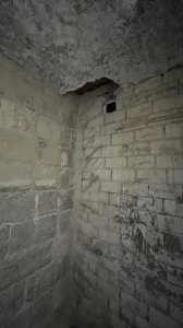 IMG_6844.jpg