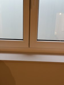 6C8A8652-CB70-4BA0-9CFB-059F11B901C6.jpeg