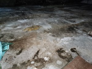 IMG_20230320_170618.jpg