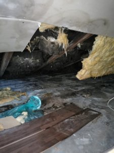 IMG_20230320_160518.jpg