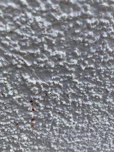 IMG_3043.jpeg