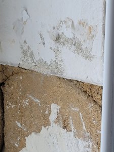 20221025_095945.jpg