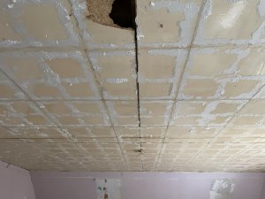 IMG_2330.jpeg