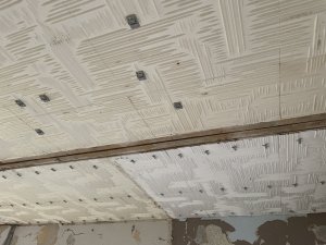 IMG_2333.jpeg