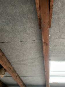 IMG_2337.jpeg