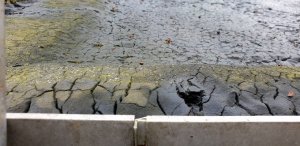 Detail Randwulst_20230313121228.jpg