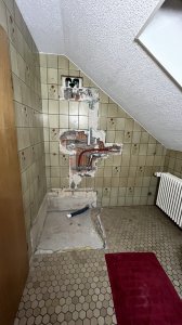 IMG_3799.jpeg