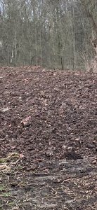 Erde 2.jpg