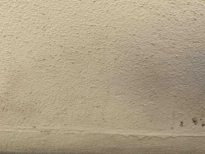 IMG_0061.jpg