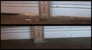 fenster-1.jpg