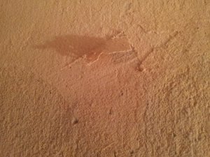 20130922_125611.jpg