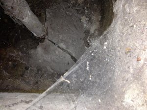 2013-09-03 13.28.21.jpg