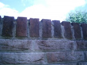 RIMG0016.jpg