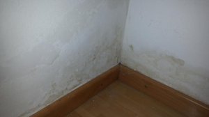 2013-10-05 21.08.37.jpg