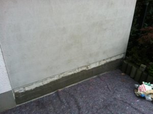 IMG_1649.jpg