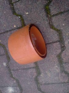 NeueMuffe.jpg