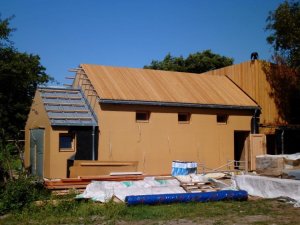 DSCI0255.jpg