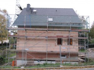 IMG_9338.jpg