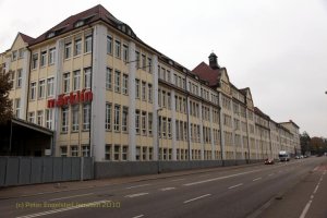 IMG_1551.jpg