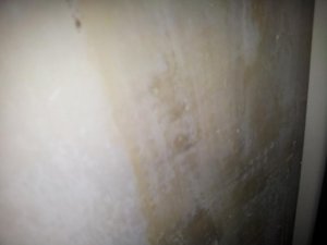 20131031_075428.jpg