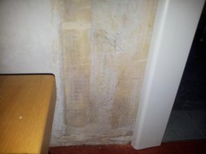 20131031_075404.jpg