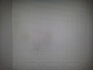 20131031_075633.jpg