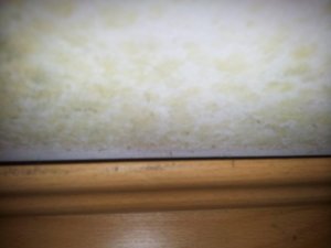 20131031_111240.jpg