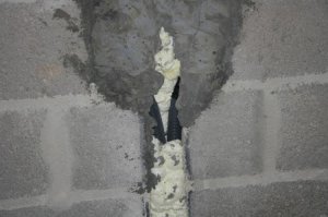 IMG_7550.jpg