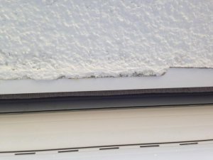 IMG_1175.jpg