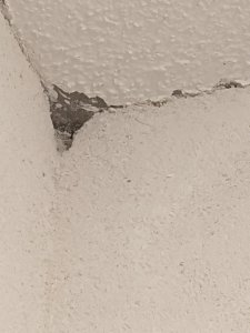 IMG_20230408_183934.jpg