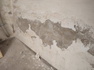 IMG_20230410_104740.jpg