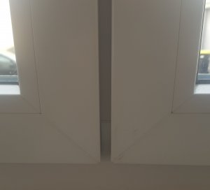 20230411_170435.jpg